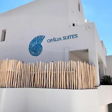Ξενοδοχείο Opalia 4*